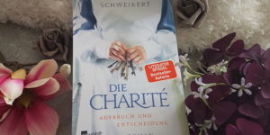 Ulrike Schweikert Die Charité Aufbruch und Entscheidung