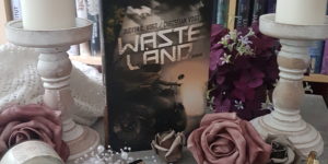 Judith C. Vogt und Christian Vogt Wasteland