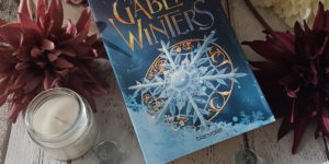 Die Gabe des Winters von Mara Erlbach