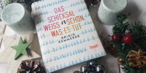 Brigid Kemmerer Das Schicksal weiß schon, was es tut