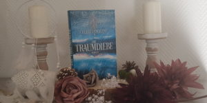 Cherie Dimaline Die Traumdiebe