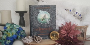 Die Silbermeer Saga Der König der Krähen