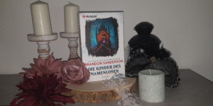 Die Kinder des Namenlosen Brandon Sanderson