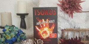 Abgefackelt Michael Tsokos