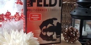 Hans Rosenfeldt Wolfssommer