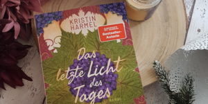 Kristin Harmel Das letzte Licht des Tages